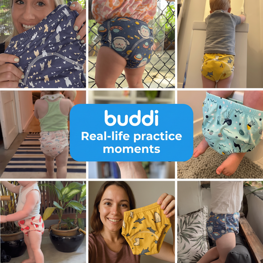 Buddi Training Diapers