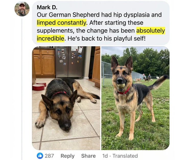 Review by Mark D