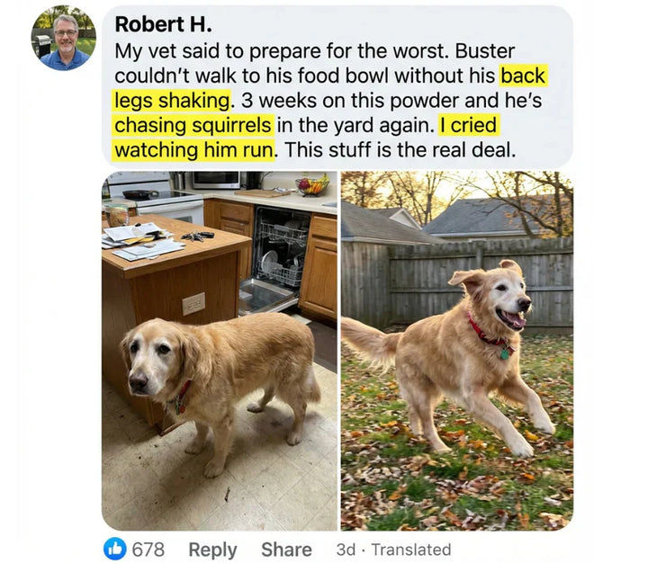 Review by Robert H