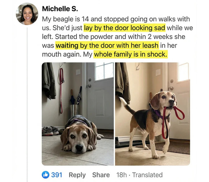 Review by Michelle S