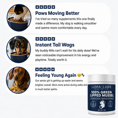 Luma Labs — Hip & Joint Powder