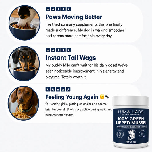 Luma Labs — Hip & Joint Powder