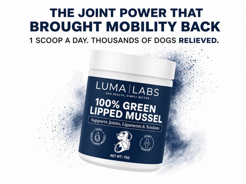 Luma Labs — Hip & Joint Powder