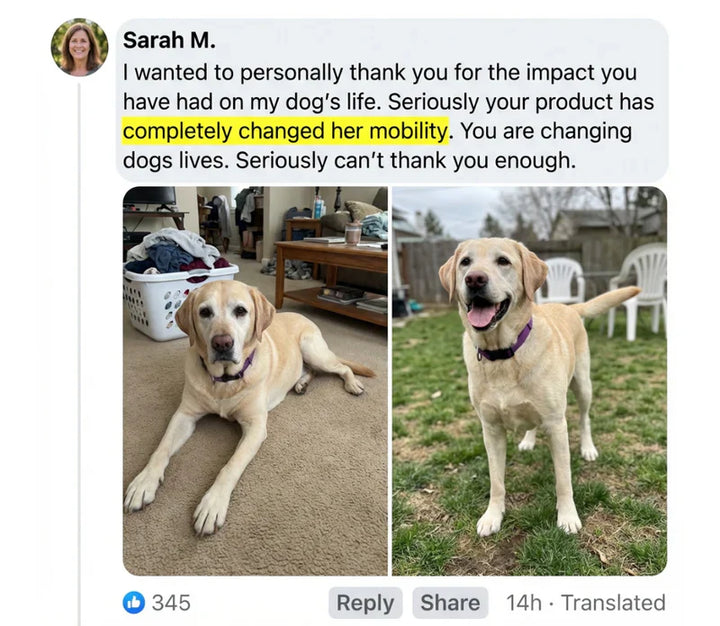 Review by Sarah M