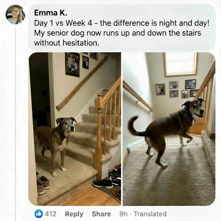 Review by Emma K